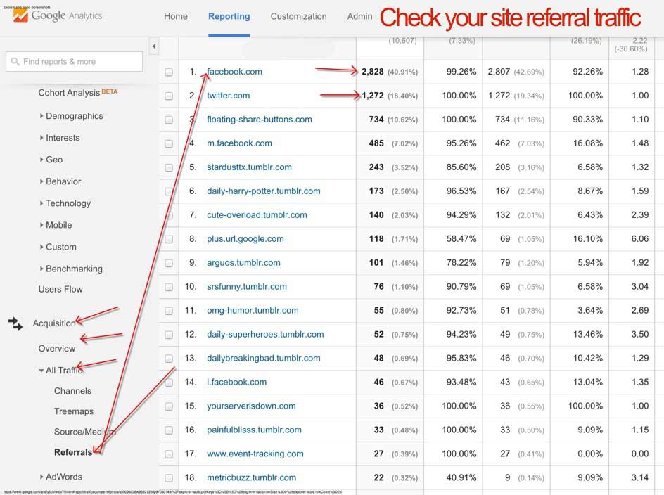 check Google Analytics referral traffic 2